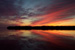 Projet-Project: Omble de fontaine-Brook charr
								Étudiant-Student: Dylan Fraser
								Site: Lac Mistassini-Mistassini Lake
								Description : coucher de soleil  sunset on Mistassini Lake