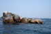Projet - Project: Spéciation, cichlidés du lac Malawi - Speciation, Lake Malawi cichlids
								Étudiant - Student: Jonatan Blais
								Site: Mpanga Rocks, Lac Malawi, Malawi, Afrique - Mpanga Rocks, Lake Malawi, Malawi, Africa
								Description: Site d'échantillonnage pour Pseudotropheus fainzilberi et P. emmiltos - Sampling site for Pseudotropheus fainzilberi and P. emmiltos.
								Date: Avril 2004 - April 2004
								